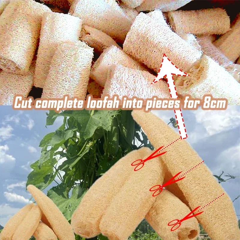 1/3/6pcs NaturalBath Loofah Exfoliating Body Sponge Loofah Bath Body Shower Sponge Kitchen Cleaing Scrubber Bathroom Accessories